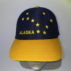 Vintage Alaska Artic Circle Enterprise Snapback Cap Blue Yellow Polar Bear Stars