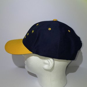 Vintage Alaska Artic Circle Enterprise Snapback Cap Blue Yellow Polar Bear Stars