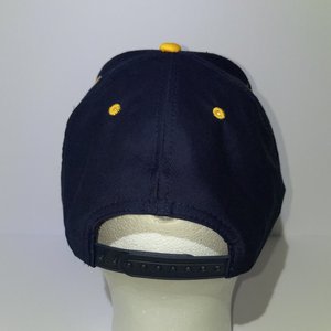 Vintage Alaska Artic Circle Enterprise Snapback Cap Blue Yellow Polar Bear Stars