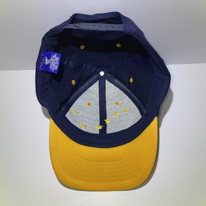 Vintage Alaska Artic Circle Enterprise Snapback Cap Blue Yellow Polar Bear Stars