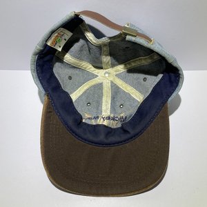 Goofy Hat Co. Vintage Denim Suede Baseball Cap Made in USA