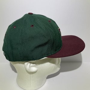 Washington Huskies Green & Purple Wool Vintage Snapback Hat