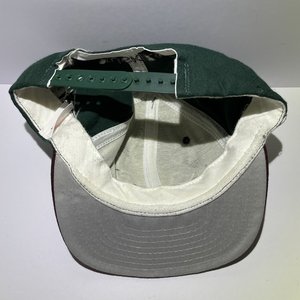 Washington Huskies Green & Purple Wool Vintage Snapback Hat