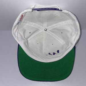The Game Vintage Greenbill Washington Huskies Script Snapback Cap USA