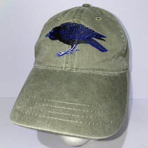 ECO Reptile Shirts Raven Dad Hat