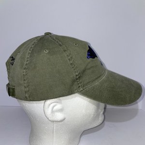 ECO Reptile Shirts Raven Dad Hat