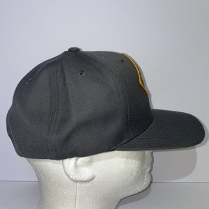 10 Barrel Trail Beer Greenbill Wool Snapback Cap
